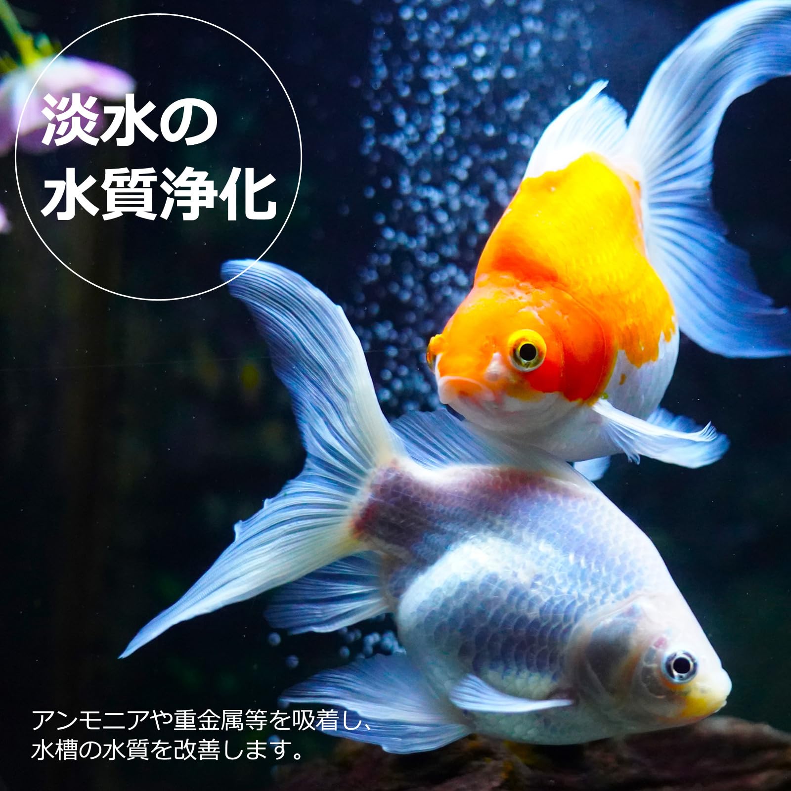 Amazon.co.jp: 国産 天然 ゼオライト 中目 5-10mm 0.9L 水槽 吸着 生物